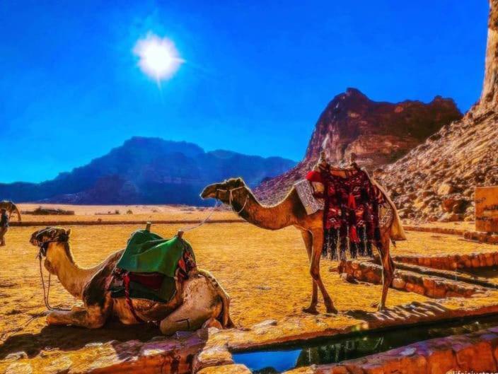 Moon City With Jeep Trips Wadi Rum Exterior photo