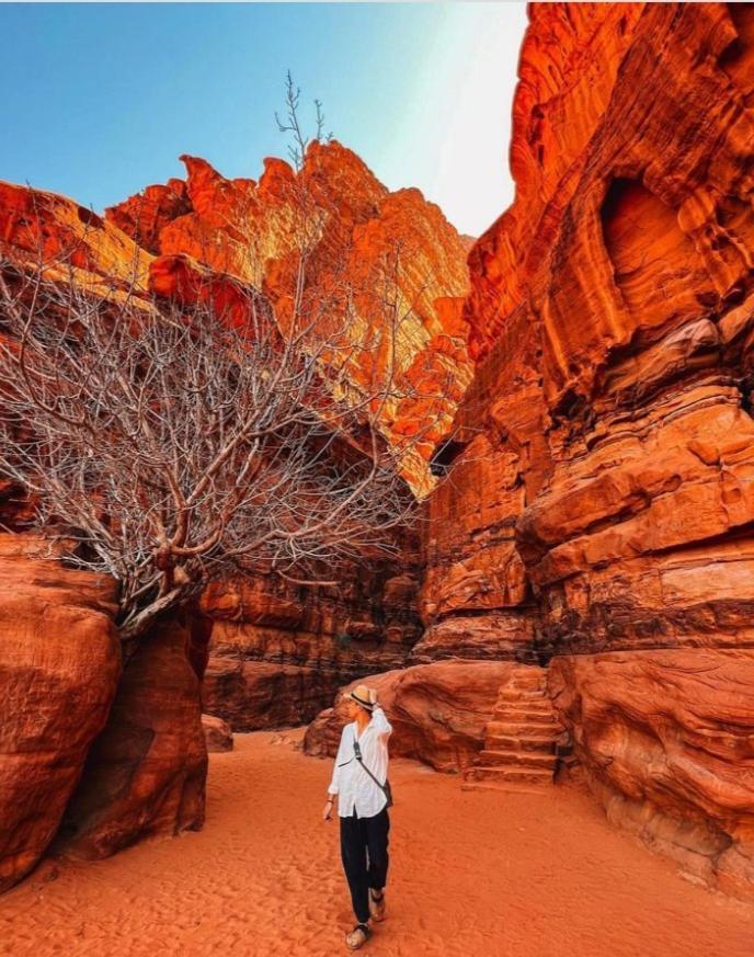 Moon City With Jeep Trips Wadi Rum Exterior photo